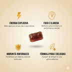 Gommose Himalaya Gold Shilajit - 3000 mg